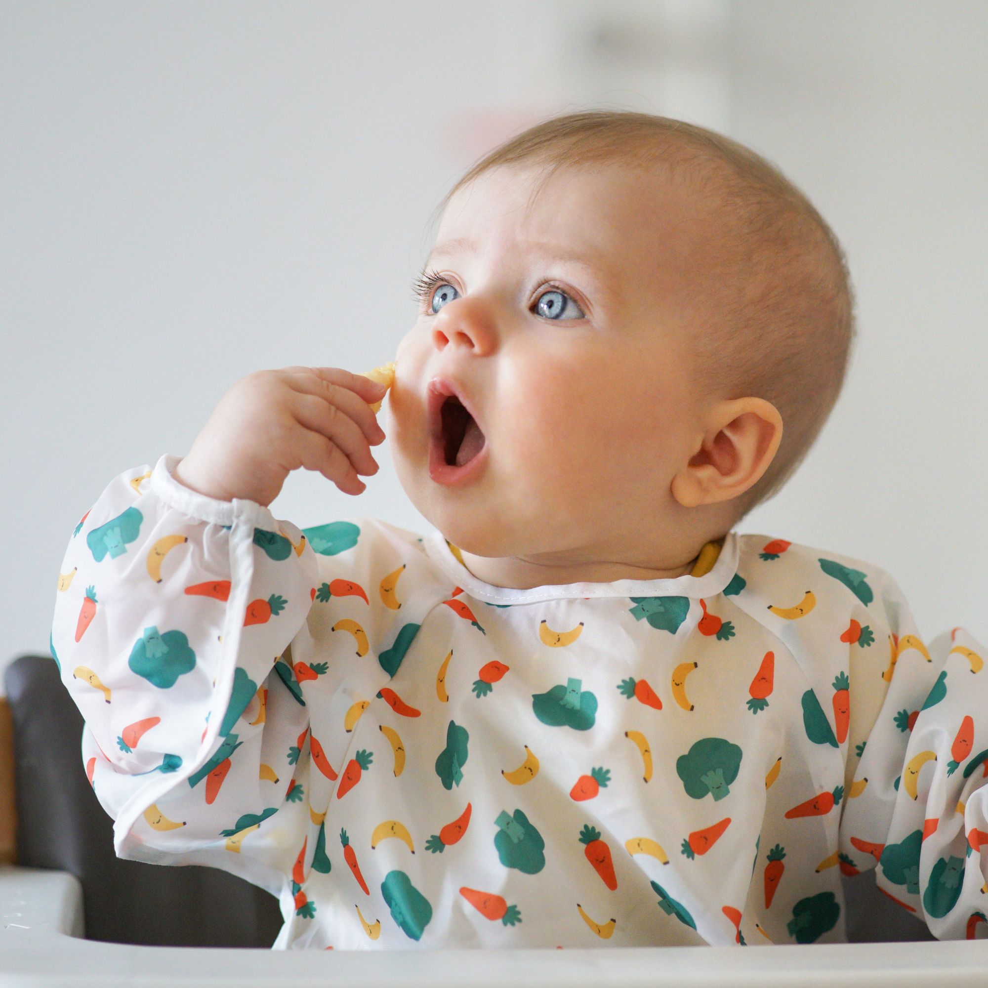 How to Start Baby-Led Weaning + First Foods - Eating Bird Food